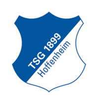 霍芬海姆球队logo